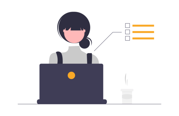Standardsoftware vs Individualsoftware - Martinelli